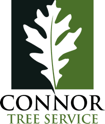Connor Tree Service- A Charleston Tree Service Company