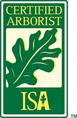 ISA certified tree arborist