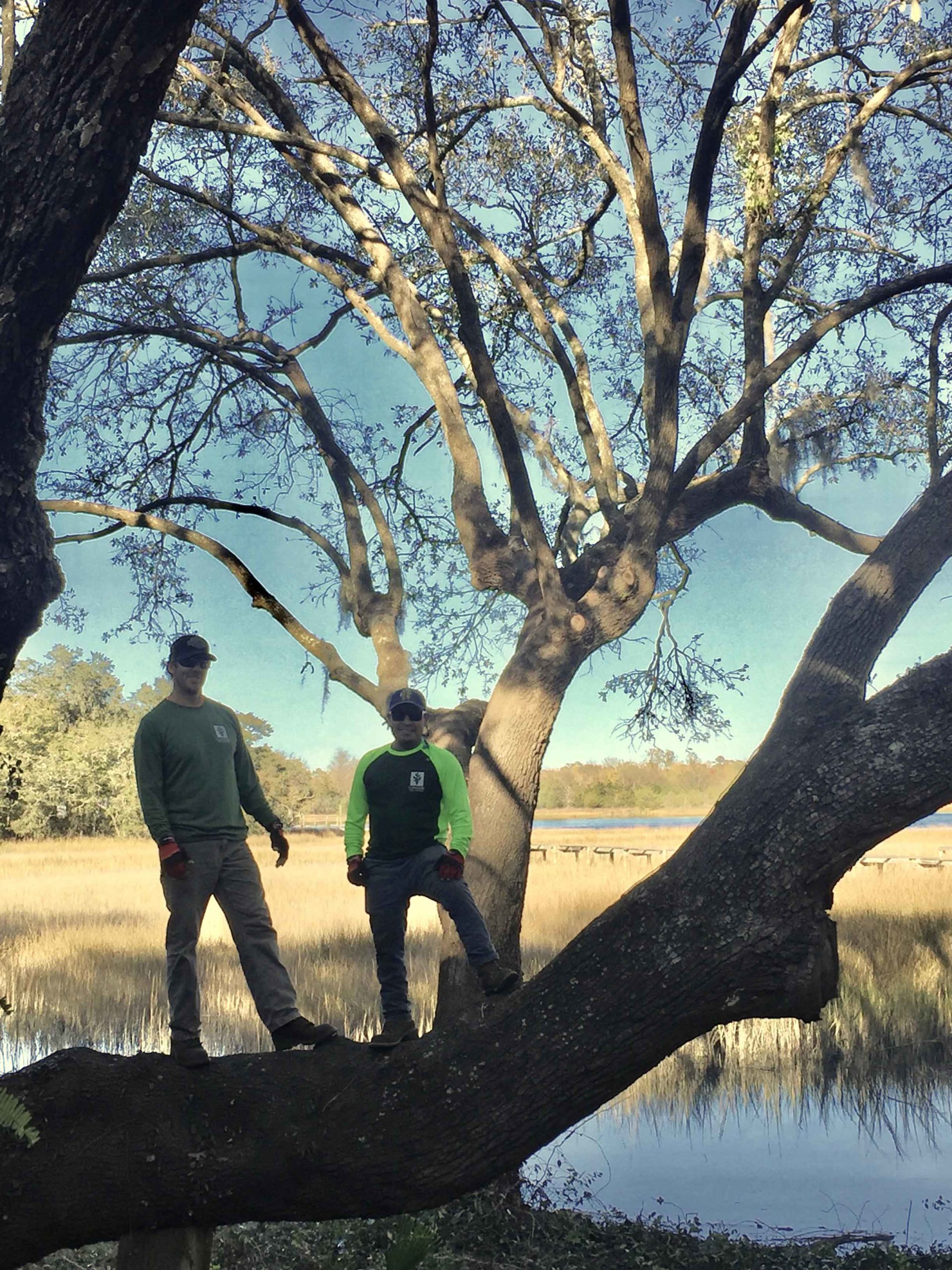 About Our Company and the owner Bryan | Connor Tree Service