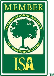 ISA certificate