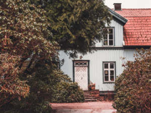 tree trimming mt pleasant sc